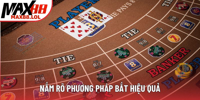 Nắm rõ phương pháp bắt hiệu quả Nắm rõ phương pháp bắt hiệu quả